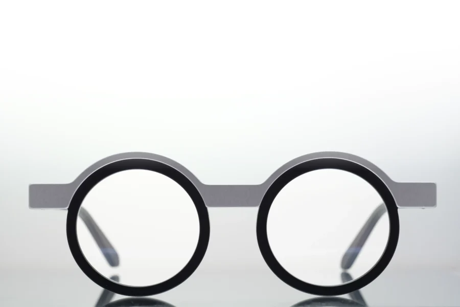 Veronika Wildgruber - TYRELL 003 Silver Black